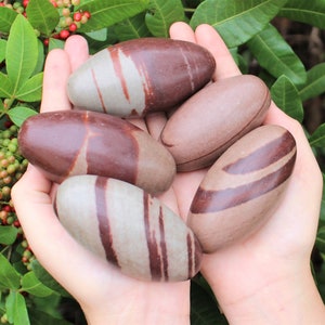 Shiva Lingam Stones, Sacred Stones from Narmada River India