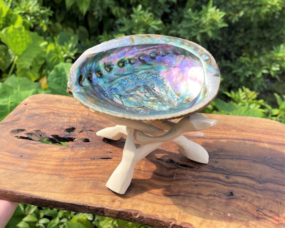 LARGE Abalone Smudge Kit: 5 - 6" Premium Abalone Shell, Tripod Stand & Smudging Directions (House Cleansing, House Blessings)