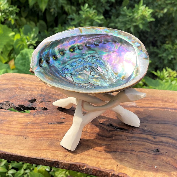 LARGE Abalone Smudge Kit: 5 - 6" Premium Abalone Shell, Tripod Stand & Smudging Directions (House Cleansing, House Blessings)