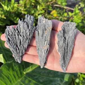 Black Kyanite Blades: Choose Ounces or lb Bulk Wholesale Lots 'A' Grade Premium Quality Black Kyanite Fans Bild 5