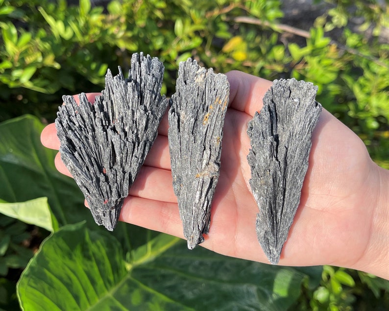 Black Kyanite Blades: Choose Ounces or lb Bulk Wholesale Lots 'A' Grade Premium Quality Black Kyanite Fans Bild 5