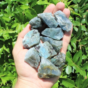 May include: A collection of raw labradorite crystals in various sizes and shapes. The crystals are a mix of gray and blue with iridescent flashes of color.