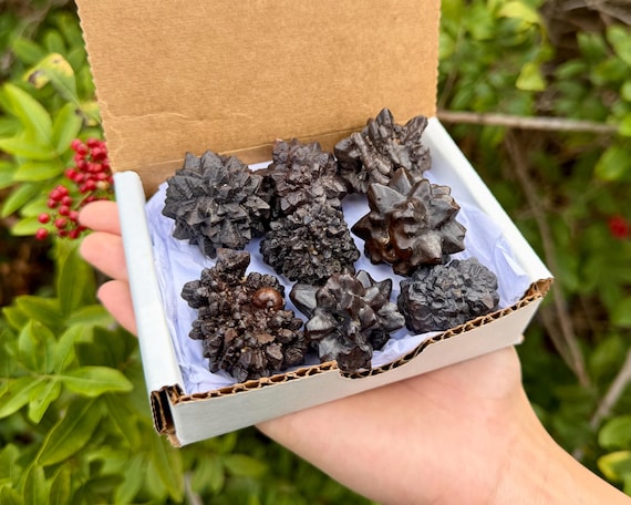 RARE Prophecy Stones Gift Box, 1/2 lb 6 - 8 Piece Natural Pseudomorph Crystals ('A' Grade High Vibration & Transformation Crystals)