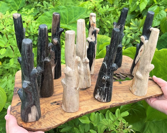 LARGE Petrified Wood Branch Carving, 7 - 7.5" (Fossilized Wood Branch Display Specimens From Indonesia, Crystal Home Decor)