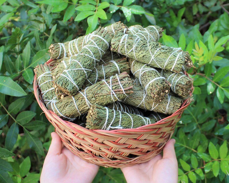 Cedar Smudge 4" Sticks - 3 Piece Lot (Fresh Bundles For Incense & Craft Uses) afbeelding 2