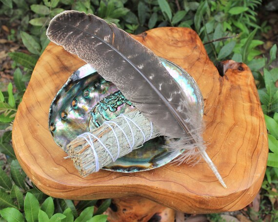 Large Abalone Shell & Blue Sage Kit - Natural Abalone Shells, Brown Feather - Incense Holder