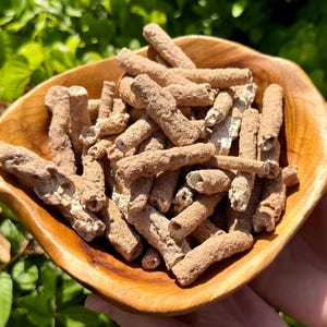 May include: A wooden bowl filled with numerous brown, cylindrical objects. The bowl is made of light-colored wood with a natural grain. The objects appear to be a natural product, possibly a type of dried plant material or a similar item.