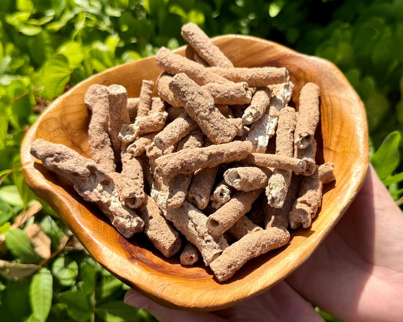May include: A wooden bowl filled with numerous brown, cylindrical objects. The bowl is made of light-colored wood with a natural grain. The objects appear to be a natural product, possibly a type of dried plant material or a similar item.