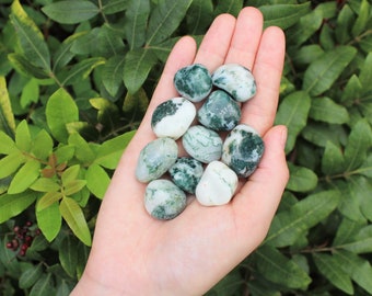 Tree Agate Tumbled Stones: Choose How Many Pieces (Premium Quality 'A' Grade)