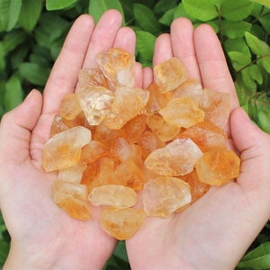 Lot of rough citrine chips in the palms of two hands