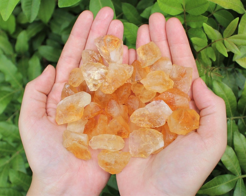 Lot of rough citrine chips in the palms of two hands