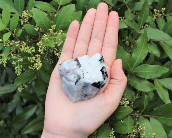 LARGE Rough Rainbow Moonstone Chunks, 2" - 3": Choose How Many Pieces (Premium Quality 'A' Grade Raw Rainbow Moonstone Crystals)