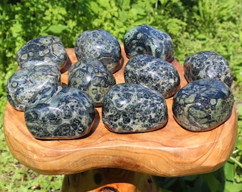 Kambaba Jasper Power Stones, Therapy Stone, X Large Palm Stone ('A' Grade, Crocodile Jasper, Polished Kambaba Jasper)