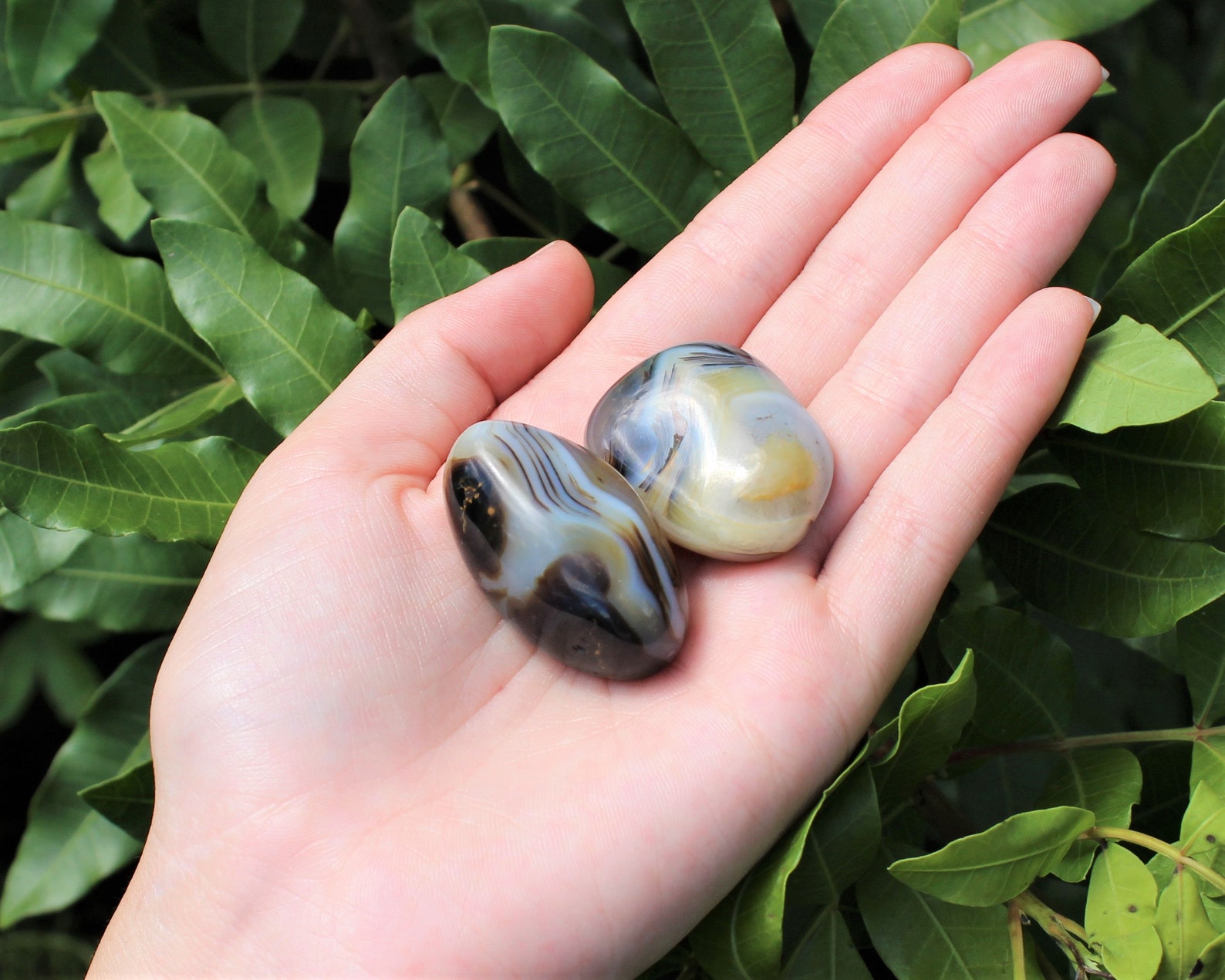 Dendrite Agate Hand Polished Stones Choose How Many Etsy