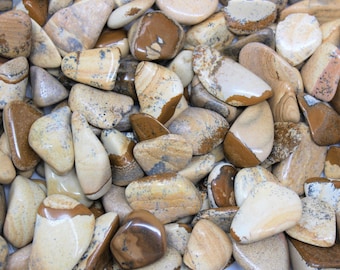 Picture Jasper Tumbled Stones: Choose Ounces or lb Bulk Wholesale Lots ('A' Grade Jasper Crystals)