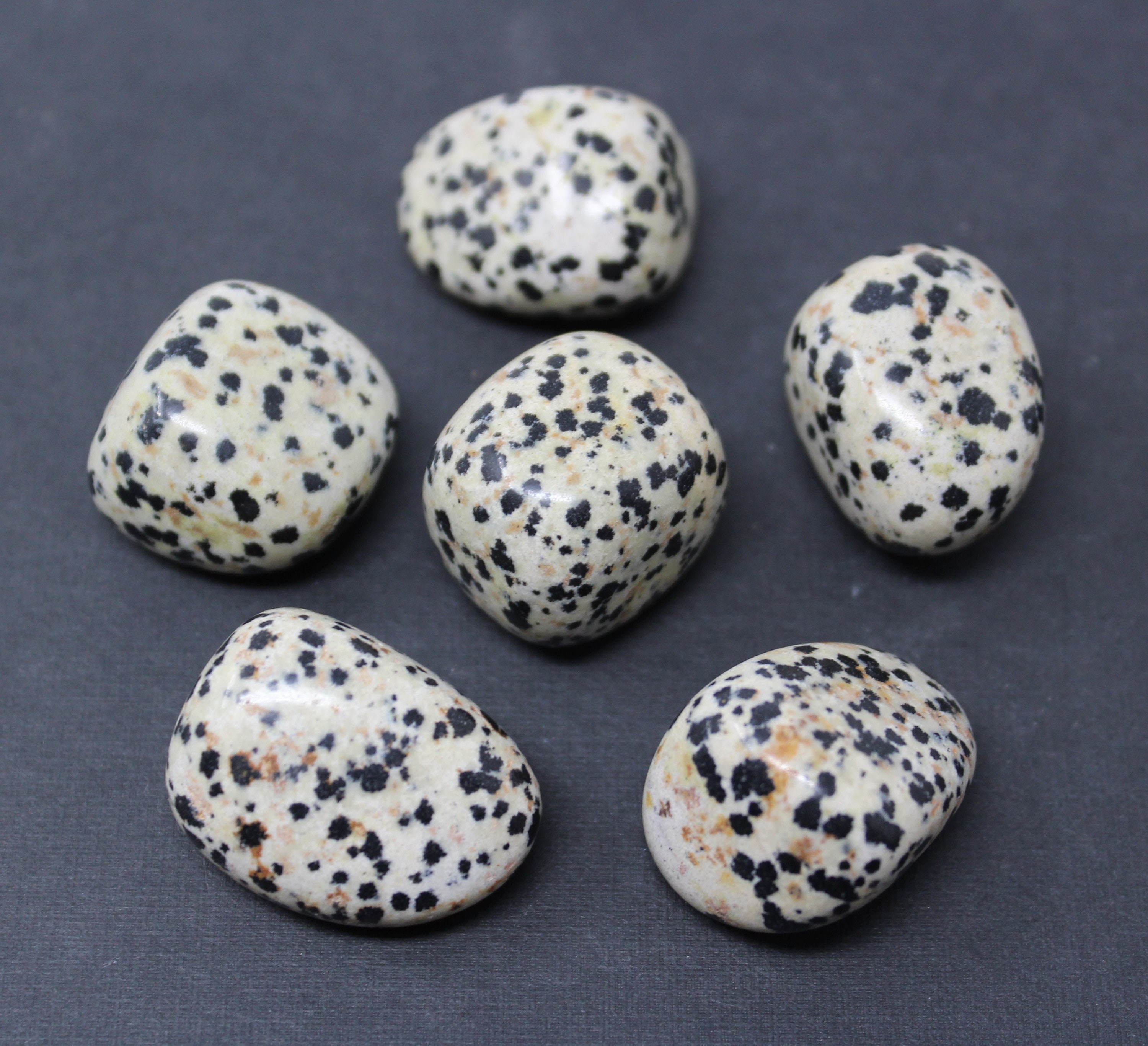 Dalmatian Jasper Tumbled Stones Choose How Many Pieces ('A' Grade