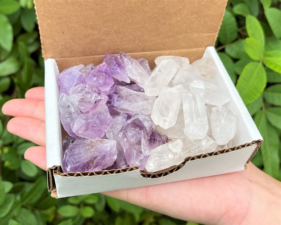 Amethyst & Clear Quartz Points: 2 Crystal Collection, 1/2 Lb Box (8 oz, Amethyst Points, Clear Quartz Points, Natural Points)