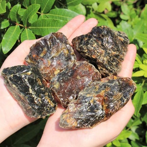 JUMBO Indonesian Raw Amber, Beautiful Amber: Choose Size 2" - 9" HUGE ('A' Grade, Natural Rough Black Amber)