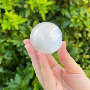 Op de afbeelding: Een witte selenietbol, ook wel een selenietkogel genoemd, wordt in een hand gehouden tegen een groene, bladerrijke achtergrond. De bol is glad en heeft een doorschijnende uitstraling.