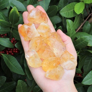 Rough Citrine Crystals 1&quot; - 2&quot;: Choose How Many Pieces (&#39;A&#39; Grade Premium Quality Raw Citrine)
