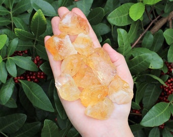 Rough Citrine Crystals 1" - 2": Choose How Many Pieces ('A' Grade Premium Quality Raw Citrine)