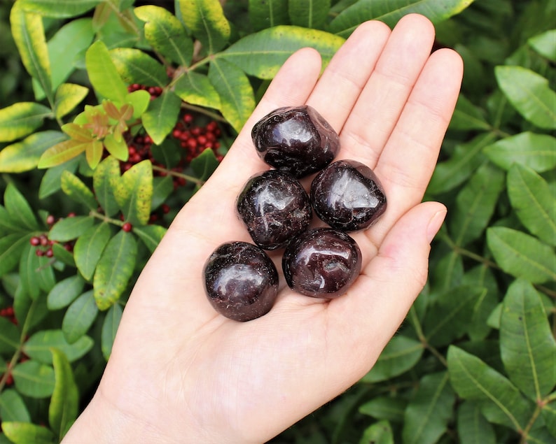 Garnet Tumbled Stones: Choose How Many Pieces Premium Quality 'A' Grade 5