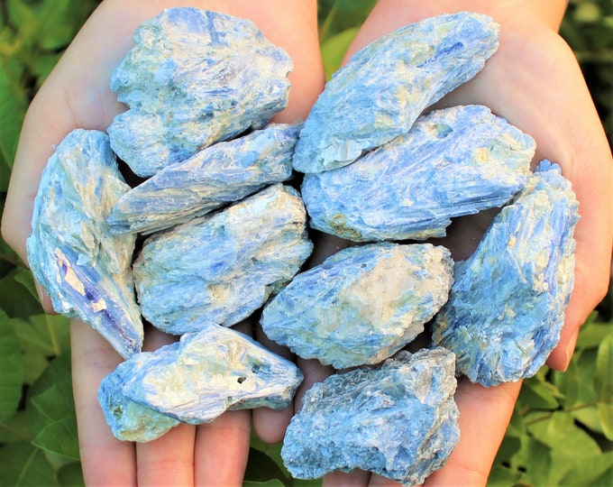 Natural Blue Kyanite in Matrix Chunks: Choose How Many (Raw Kyanite Crystal, Rough Blue Kyanite, Blue Kyanite Blade, Raw Blue Kyanite)