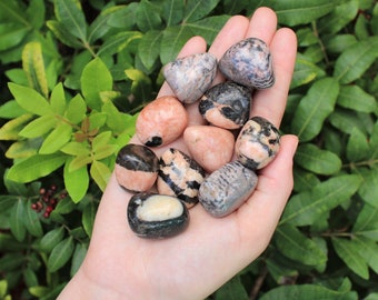 Pink Zebra Jasper Tumbled Stones: Choose How Many Pieces ('A' Grade)