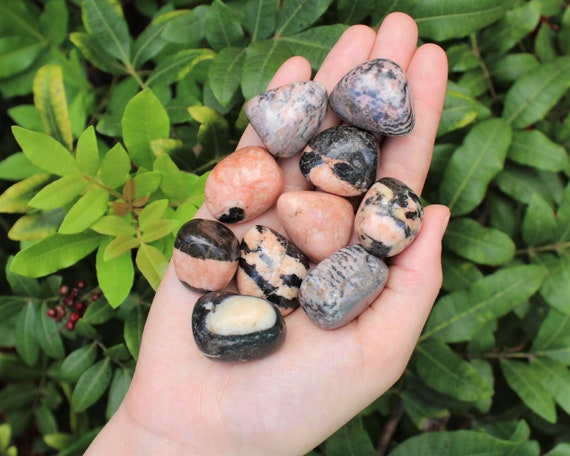 Pink Zebra Jasper Tumbled Stones: Choose How Many Pieces (Premium Quality 'A' Grade)