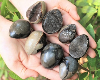 Septarian Dragon Egg Crystal - Choose Size ('A' Grade Septarian With Druze from Madagascar)