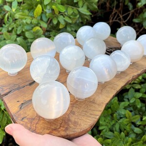 Op de afbeelding: Een verzameling van 12 witte seleniet bollen gerangschikt op een houten oppervlak. De bollen zijn glad en gepolijst, met een doorschijnende uitstraling.