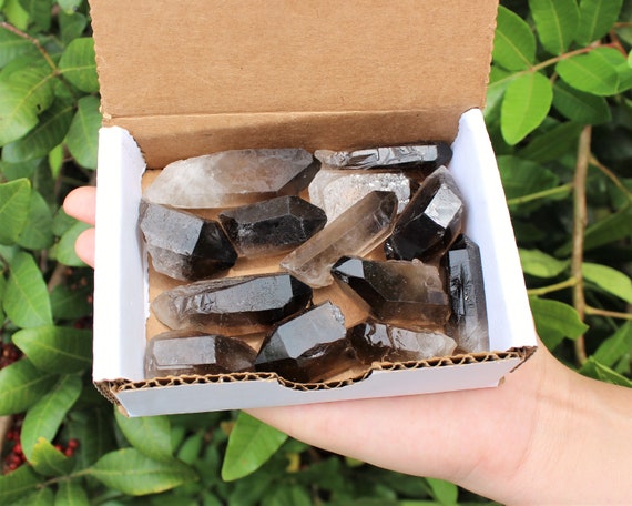 Smoky Quartz Points Crystal Collection 1/2 Lb Box, 0.75" - 2" Pieces (Premium Quality 'A' Grade)