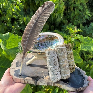 LARGE White Sage Smudge Abalone Kit: 5 - 6&quot; Abalone Shell, White Sage, Blue Sage, Cedar Sage, Feather, Stand & Smudging Directions