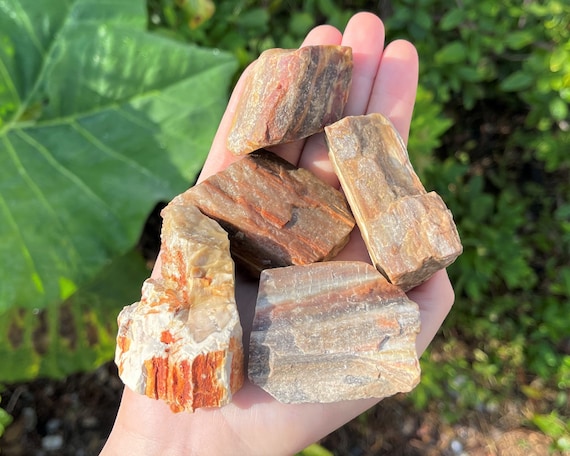 LARGE Rough Petrified Wood Natural Stones, 2 - 3": Choose How Many Pieces ('A' Grade Premium Quality, Raw Petrified Wood Crystals)