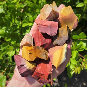 May include: A handful of raw, colorful jasper stones. The stones display a variety of colors, including red, yellow, brown, and cream. The rough-cut stones are held against a backdrop of green foliage, highlighting their natural beauty.