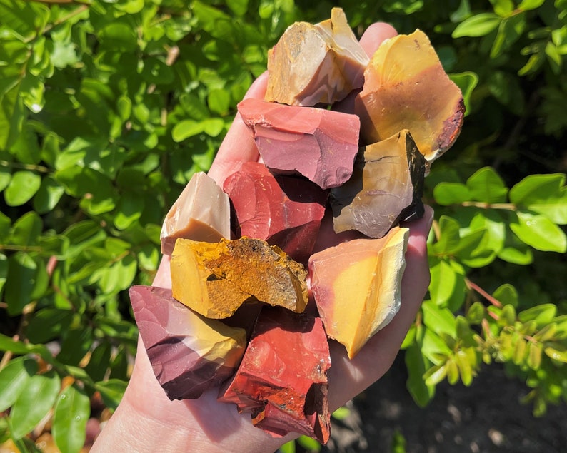 May include: A handful of raw, colorful jasper stones. The stones display a variety of colors, including red, yellow, brown, and cream. The rough-cut stones are held against a backdrop of green foliage, highlighting their natural beauty.
