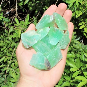 May include: A collection of green fluorite crystals, some with a slight brown tint, in various shapes and sizes. The crystals are arranged in a pile on a person's hand.