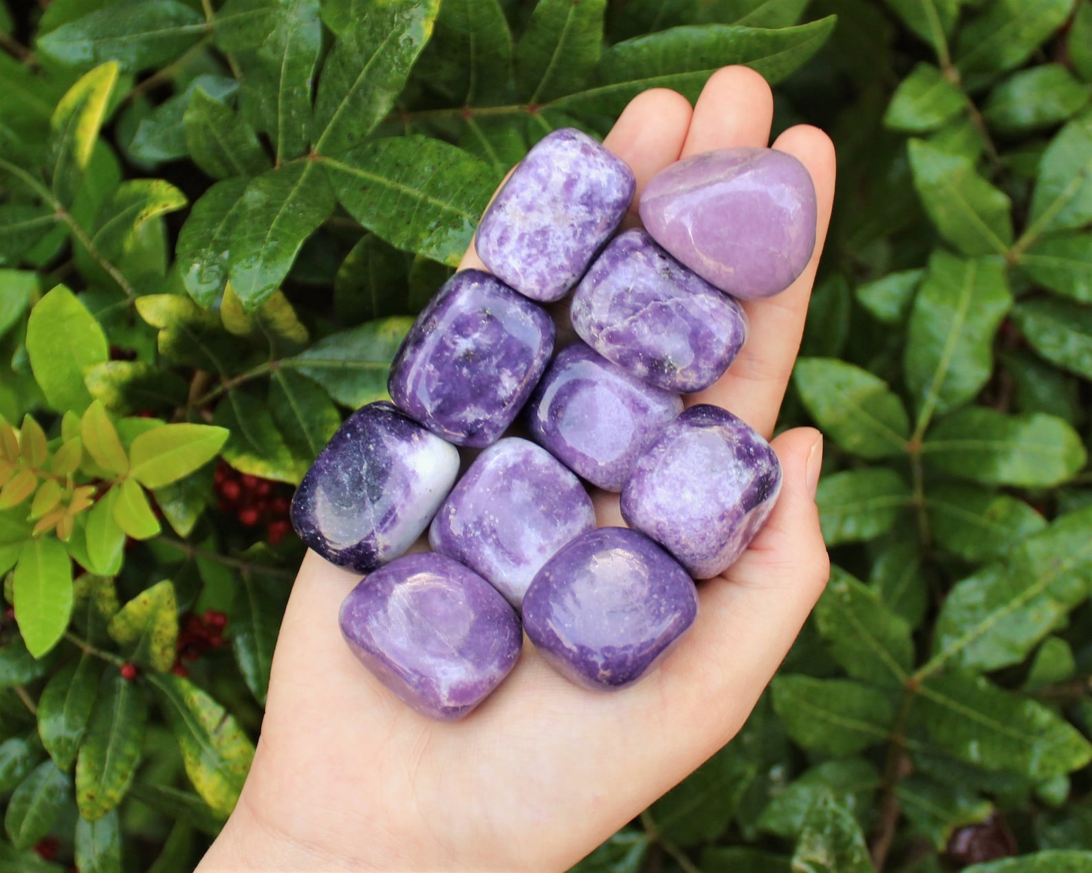 Polished lepidolite tumbled stones in soft purple tones displayed on a hand outdoors