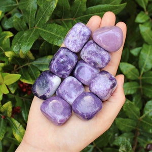 Lepidolite Tumbled Stones: Choose How Many Pieces (Premium Quality 'A' Grade)