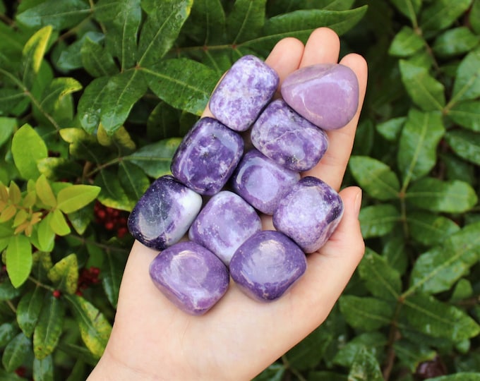 Lepidolite Tumbled Stones: Choose How Many Pieces (Premium Quality 'A' Grade)
