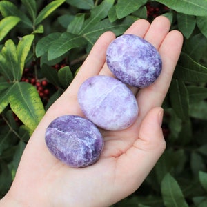 Lepidolite Hand Polished Stones: Choose How Many ('A' Grade Lepidolite Pebbles, Lepidolite Palm Stones)