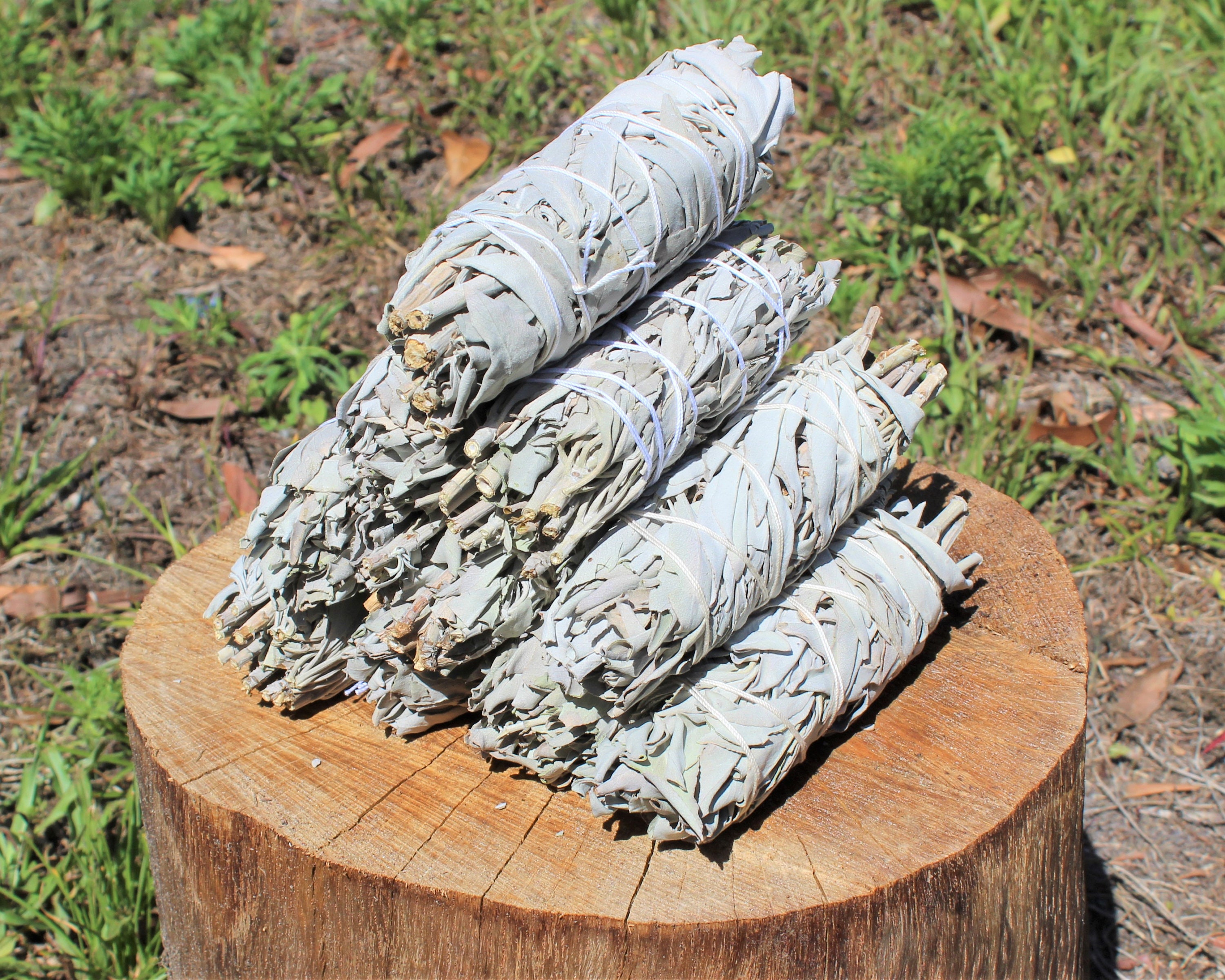 10 Pack 'Chunky' White Sage Smudge Bundle White Sage Etsy
