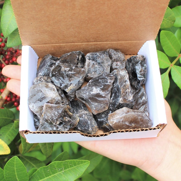 1/2 lb Natural Rough Smoky Quartz Crystal Rock Box Collection ('A' Grade, Gift Box)