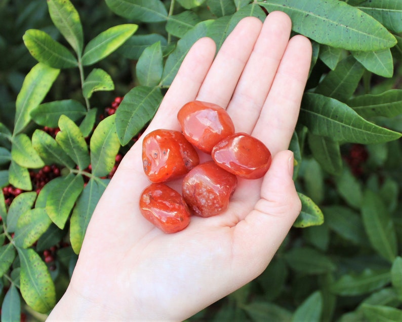 Carnelian Tumbled Stones: Choose How Many Pieces Premium Quality 'A' Grade 5
