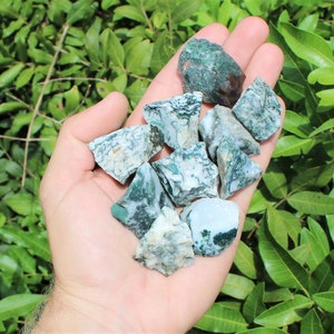 Tree Agate Rough Natural Stones: Choose How Many Pieces (Premium Quality 'A' Grade)