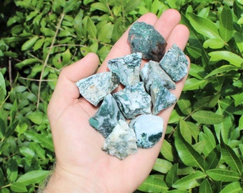 Tree Agate Rough Natural Stones: Choose How Many Pieces ('A' Grade Raw Agate Crystals)