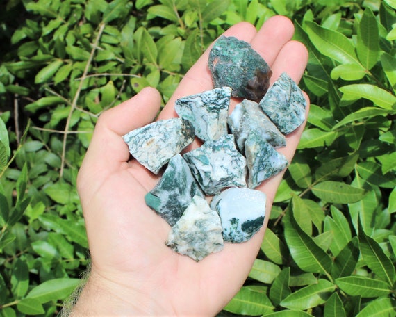 Tree Agate Rough Natural Stones: Choose How Many Pieces (Premium Quality 'A' Grade)