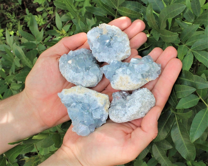 May include: Five blue celestite crystal clusters in various sizes and shapes, held in a person's hands.