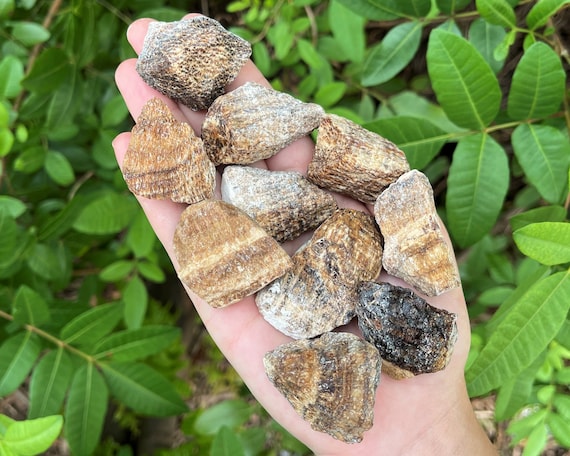 Brown Aragonite Rough Natural Stones: Choose How Many Pieces (Premium Quality 'A' Grade, Banded Aragonite, From Peru)