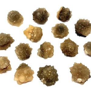 May include: A collection of fourteen small, individual mineral specimens. Each piece features a cluster of translucent, brownish-gray, spiky crystal formations with a rough, textured surface and a rounded, multi-faceted appearance.